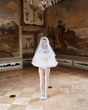Load image into Gallery viewer, The Queen's night veil - rent